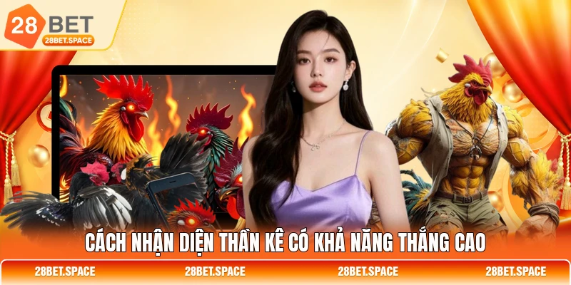 Cách nhận diện thần kê có khả năng thắng cao