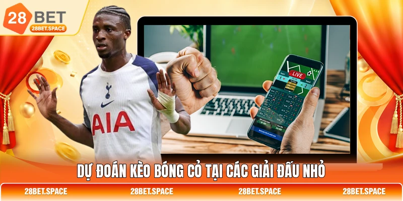 Dự đoán kèo bóng cỏ tại các giải đấu nhỏ