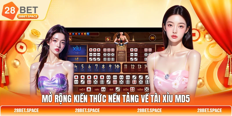 Mở rộng kiến thức nền tảng về tài xỉu md5